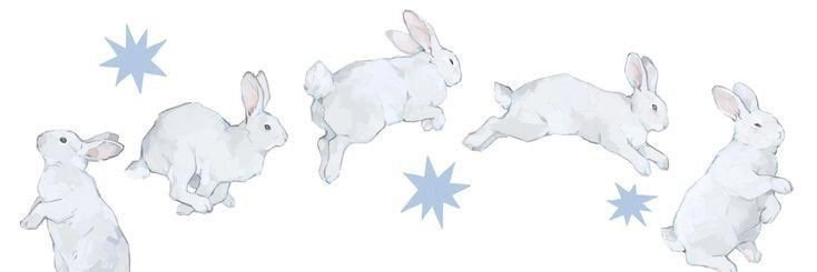 sab⁷ ☁️ banner