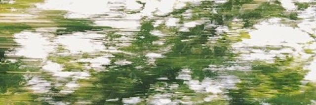 favouritegrierr's profile banner image