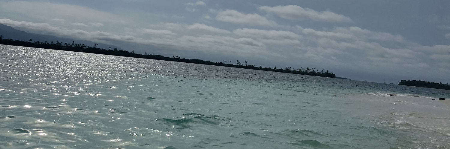 GSuncin's profile banner image