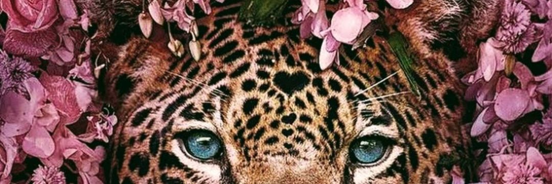 Barretolaric's profile banner image