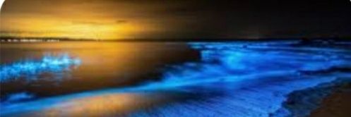 JR16542's profile banner image