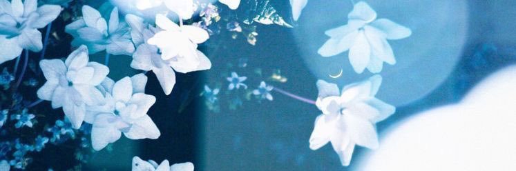 RatherBeJaded's profile banner image