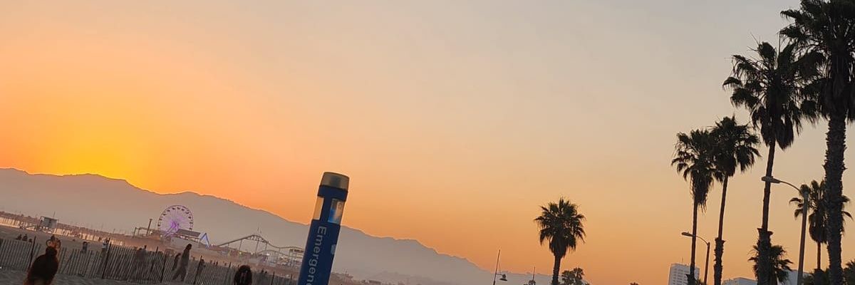 Darling_Cip's profile banner image