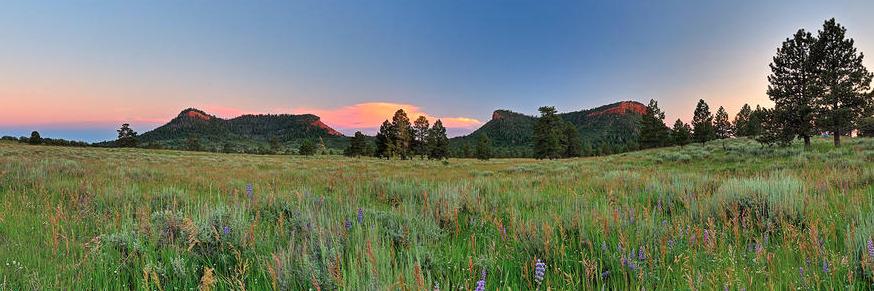 Bears Ears Inter-Tribal Coalition banner