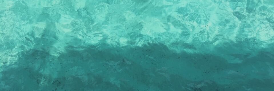 sarahashareef's profile banner image