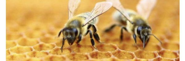 Markdouglas64 Profile Banner