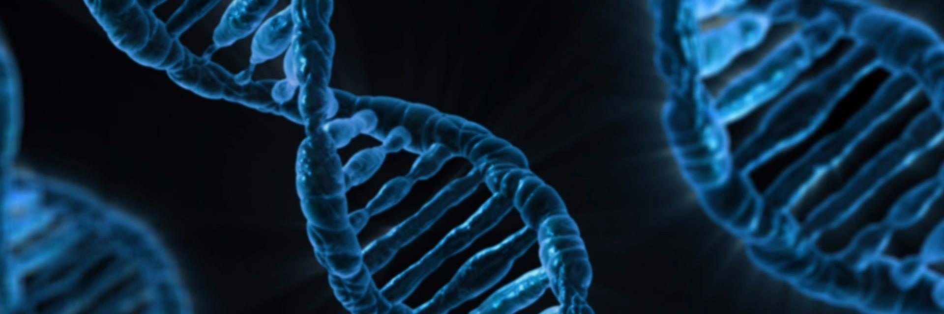 BioPourTous's profile banner image