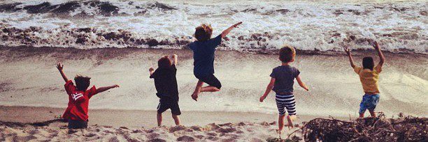 joanna schroeder banner