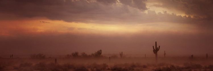 𝙻𝚒𝚝𝚝𝚕𝚎 𝙳𝚎𝚋𝚋𝚒𝚎 banner