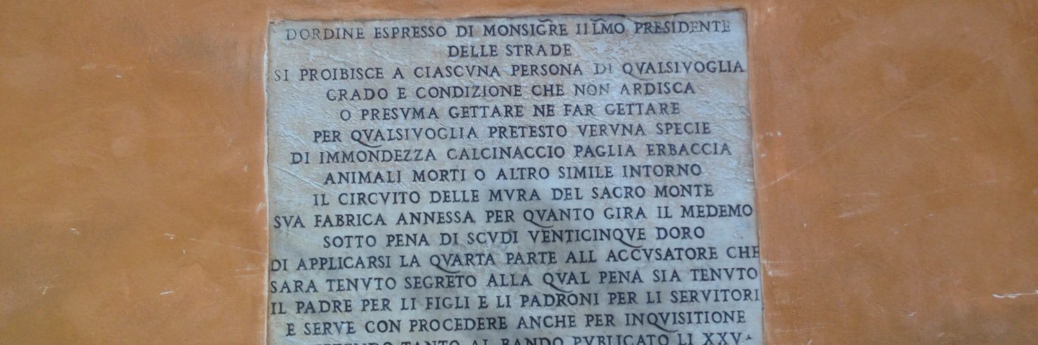 Careful Frog 🟦 👀🌻🇮🇱🇮🇹🇺🇦 banner