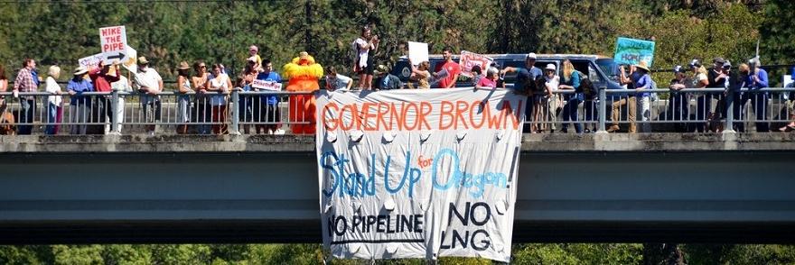 NO LNG EXPORTS banner