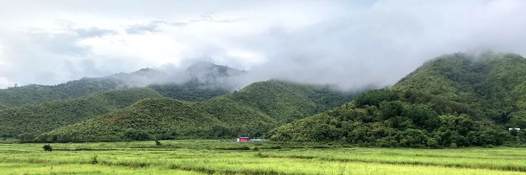 nongsemba's profile banner image