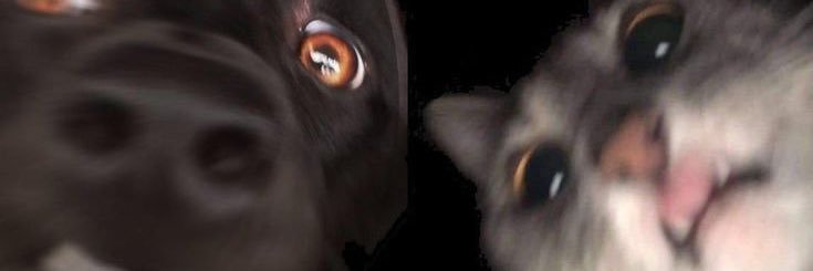 Bryan_14A's profile banner image