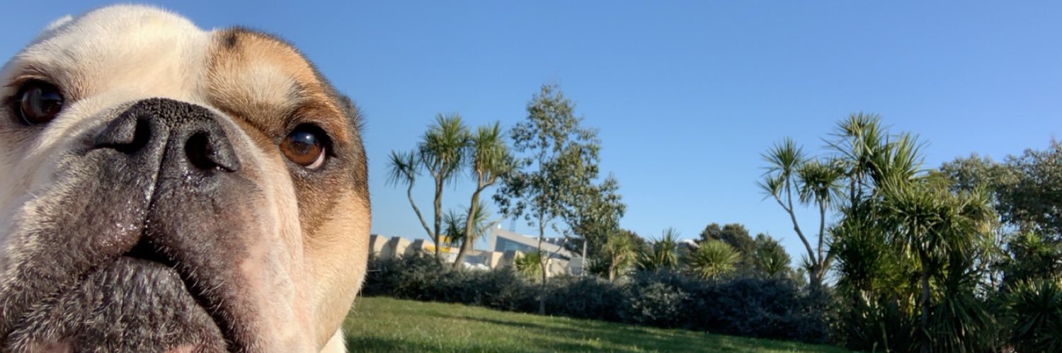 BuhotLouis's profile banner image