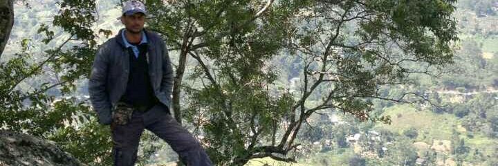 lobowolftrip's profile banner image