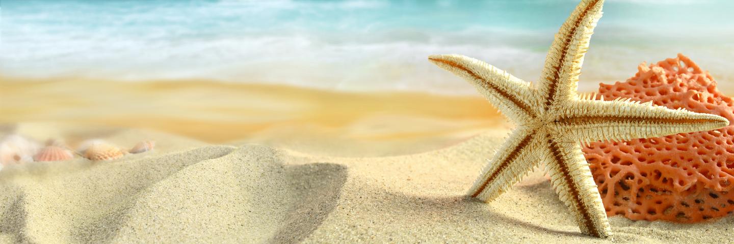 zeppy_seaside's profile banner image