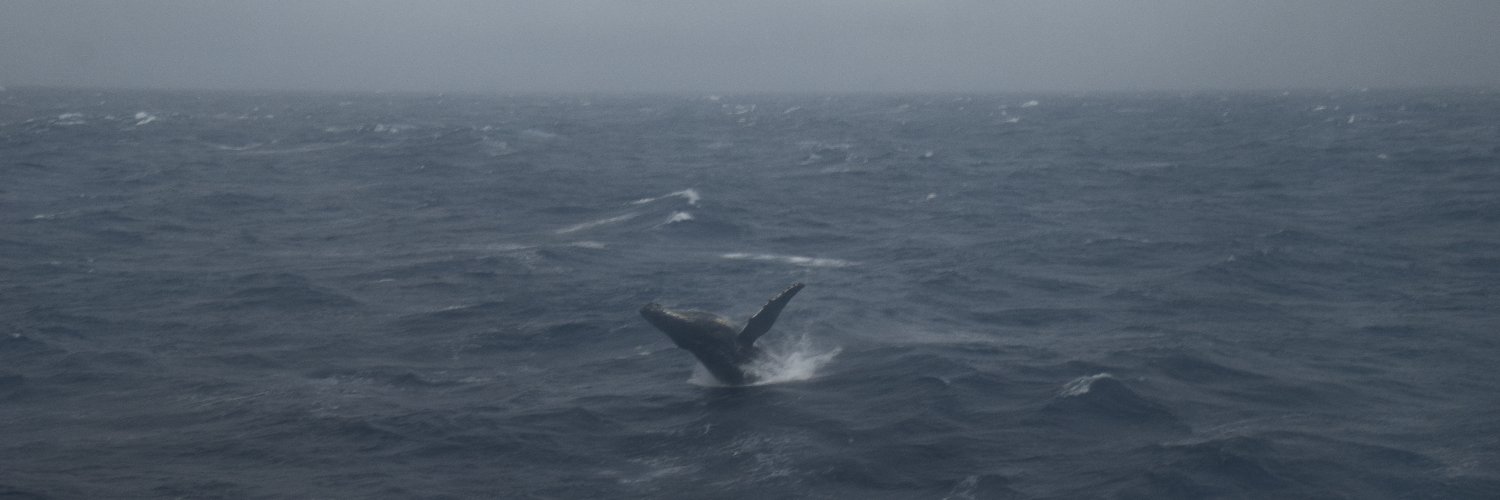 Frida Snilstveit Hoem banner