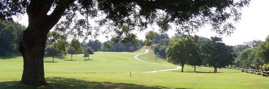 golfpineforest's profile banner image