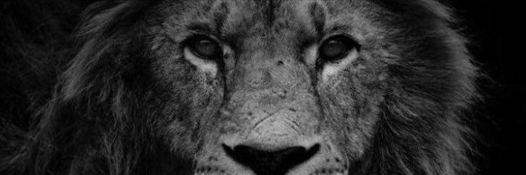LewisAmos11's profile banner image