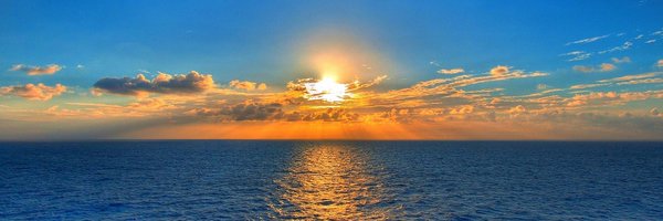 juliewaite Profile Banner