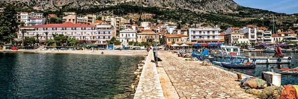 Σκαντζόχοιρος🦔 banner