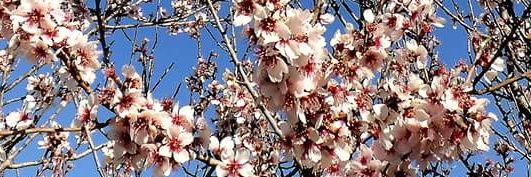 linar_ana's profile banner image