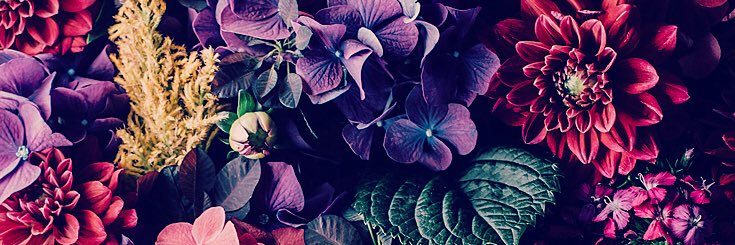 SamemZed's profile banner image