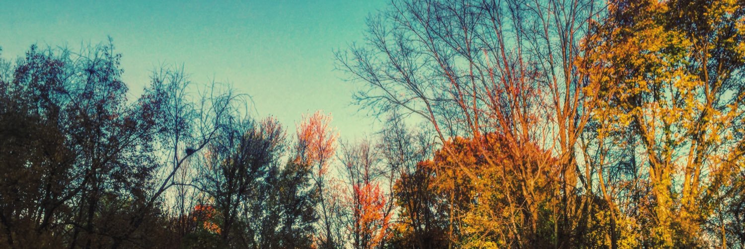 laureneyyy's profile banner image