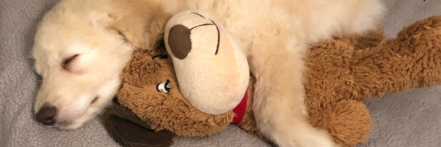 miniflash's profile banner image