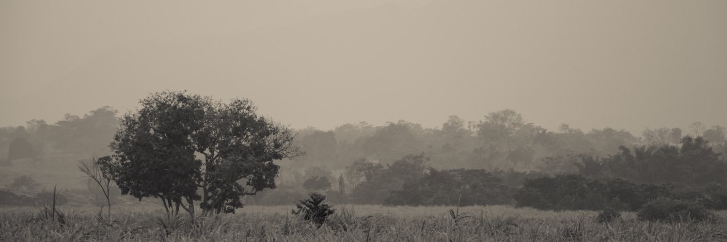 biotomm's profile banner image