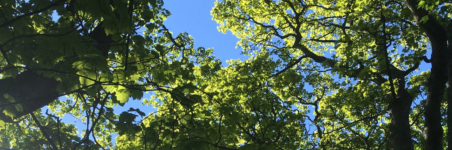 KtJadeAdventure's profile banner image