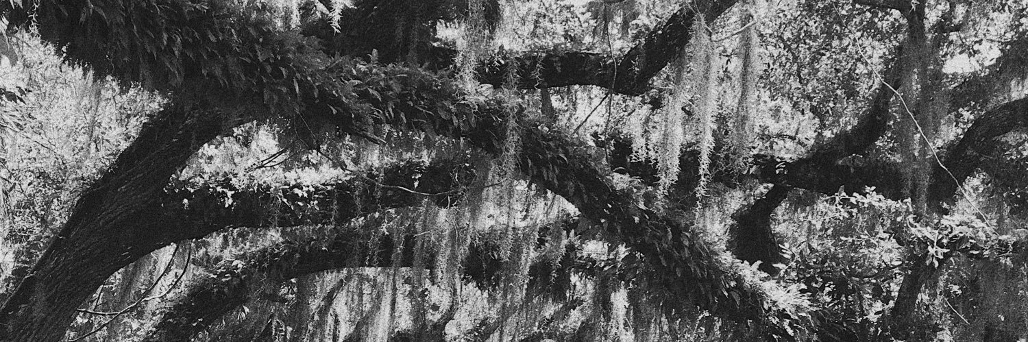 ghouIcore's profile banner image
