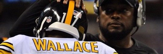 Perry banner