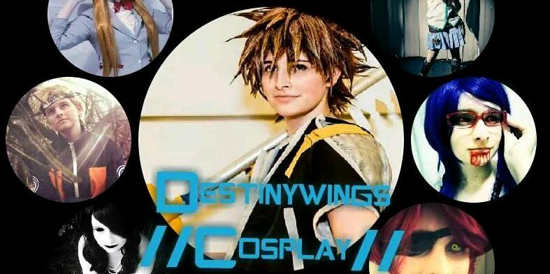 DestinyWings Cosplay banner