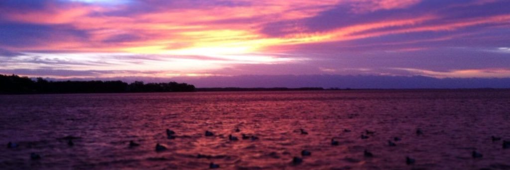 WODaughtry's profile banner image