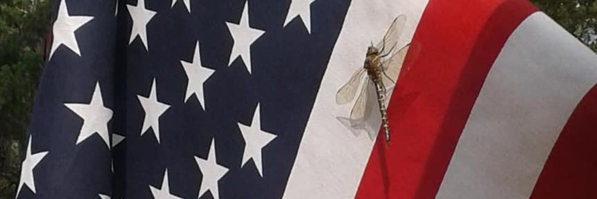 Kristen Neumann banner