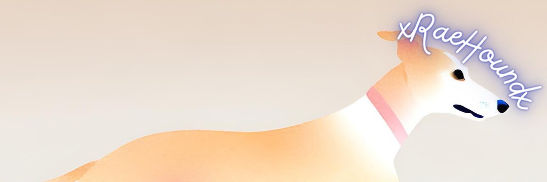 xRaeHoundx's profile banner image