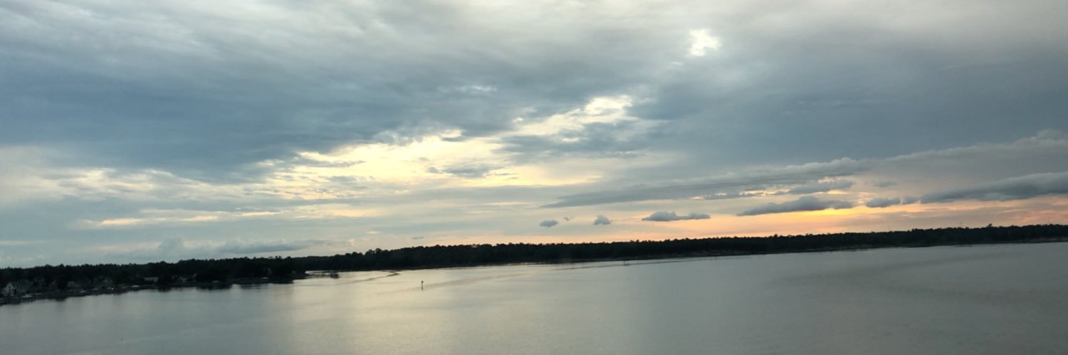peymattlin's profile banner image