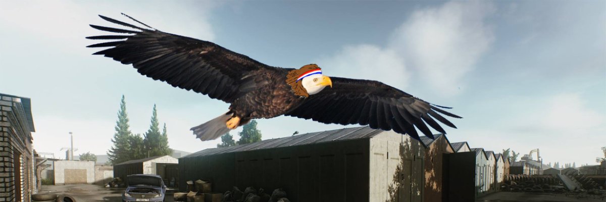 FrankMullet89's profile banner image