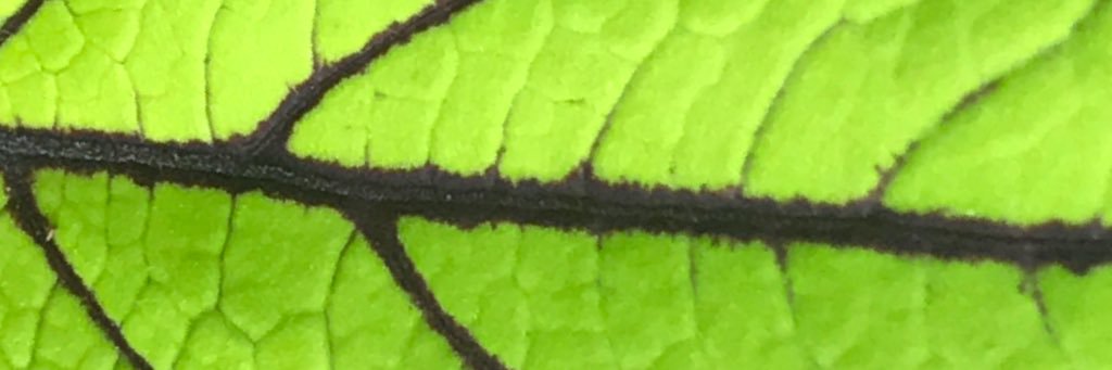 EmilyStory1's profile banner image