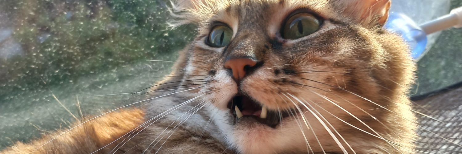 ShiB🎗🤞🏻 banner