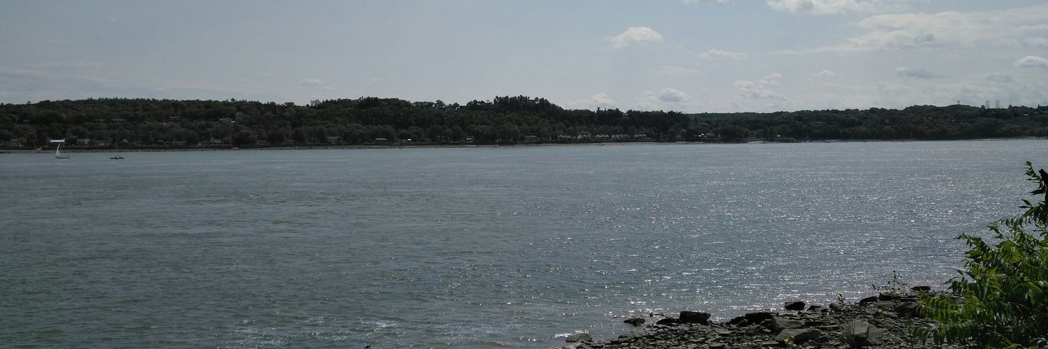 CloMoreau's profile banner image