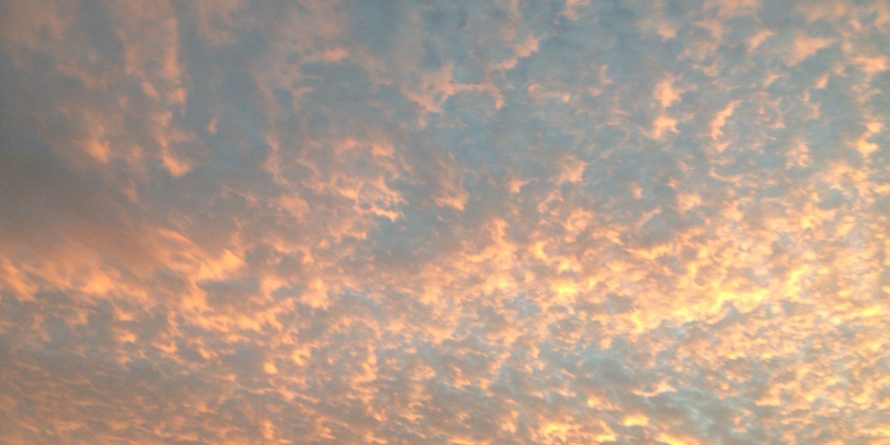 tyronefoto's profile banner image