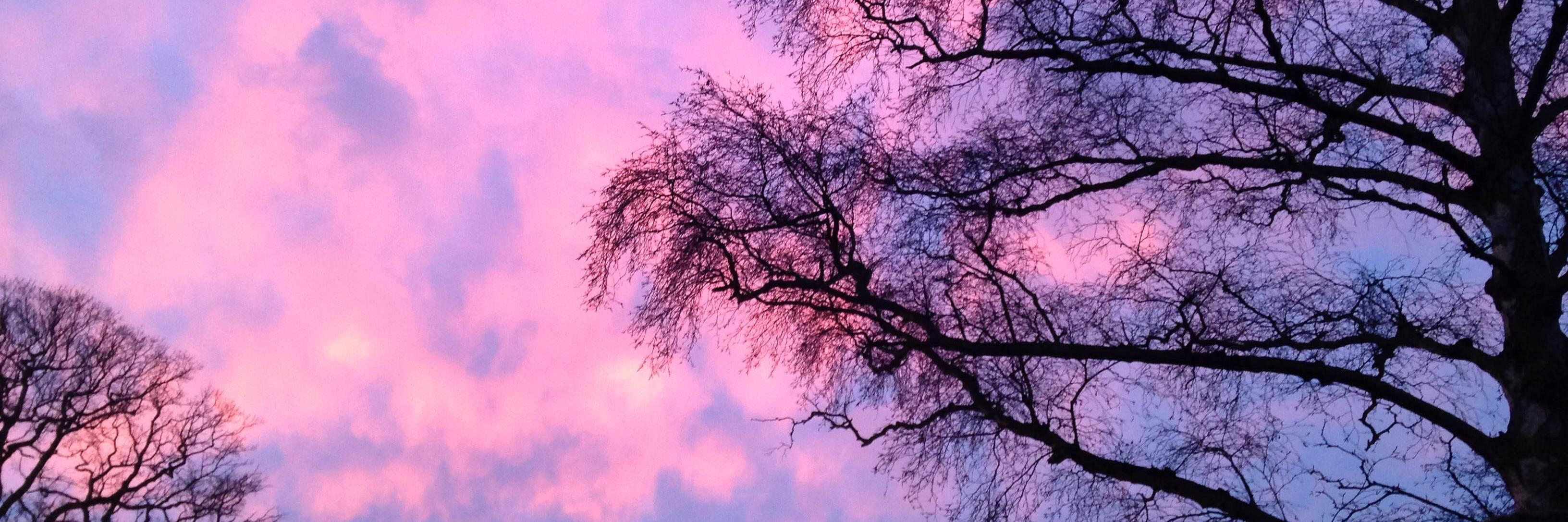 LibertyColeman_'s profile banner image