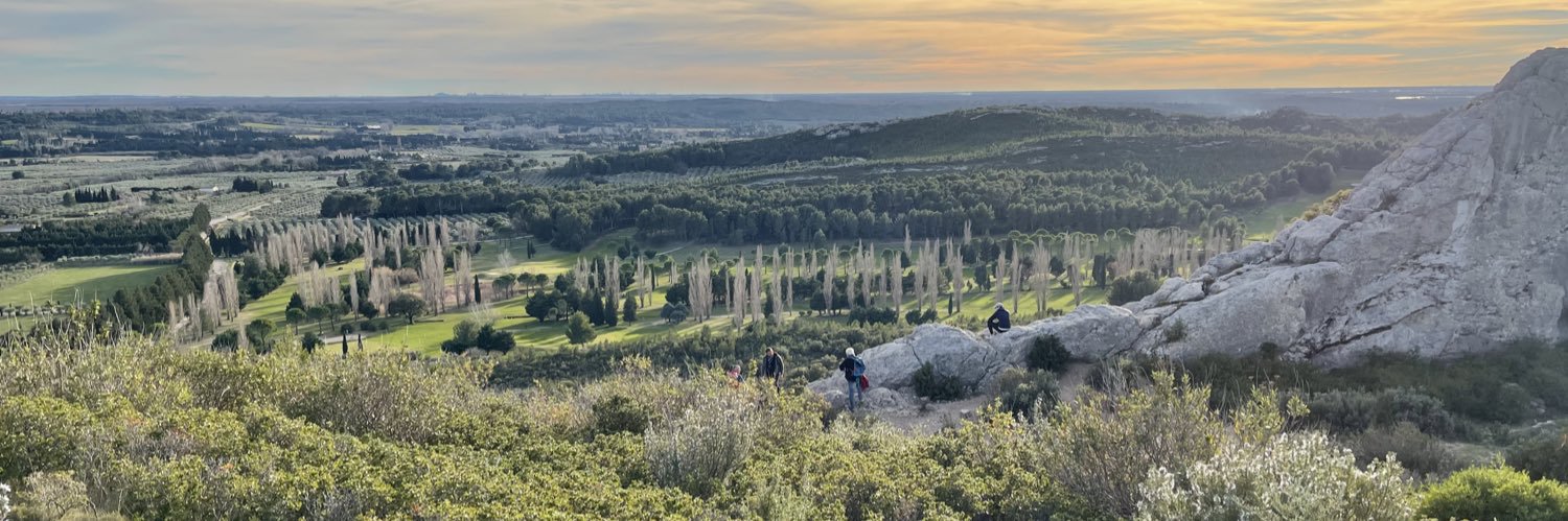 Dorothée Cavignaux banner