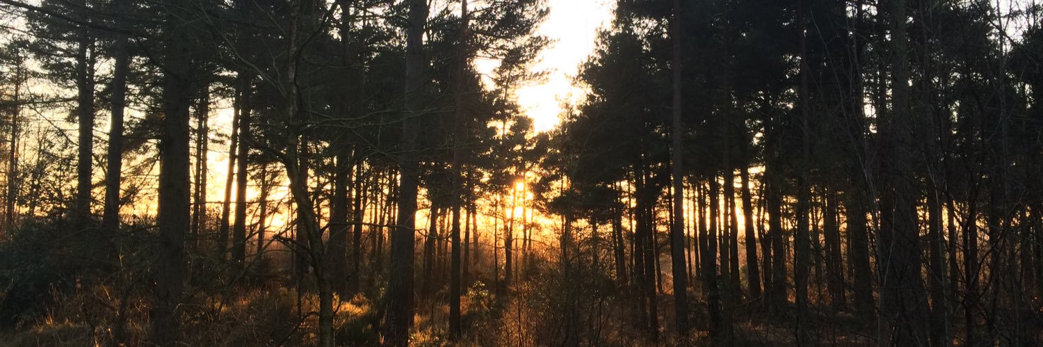 Dr Kate Kirk, RN banner