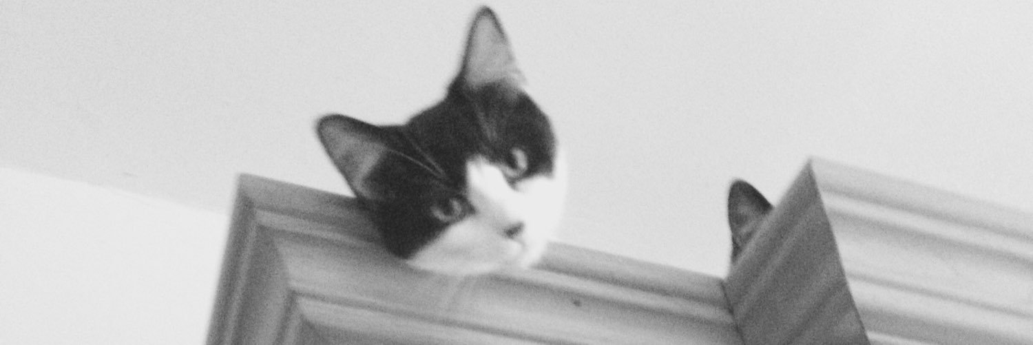 megperkins98's profile banner image