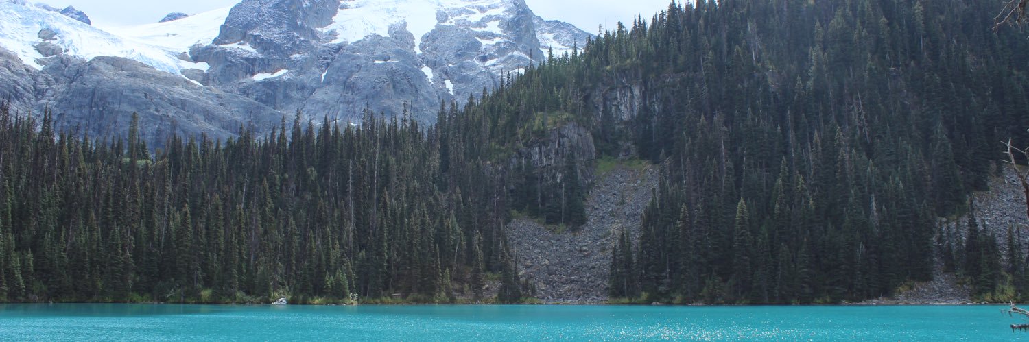 seaFulton's profile banner image
