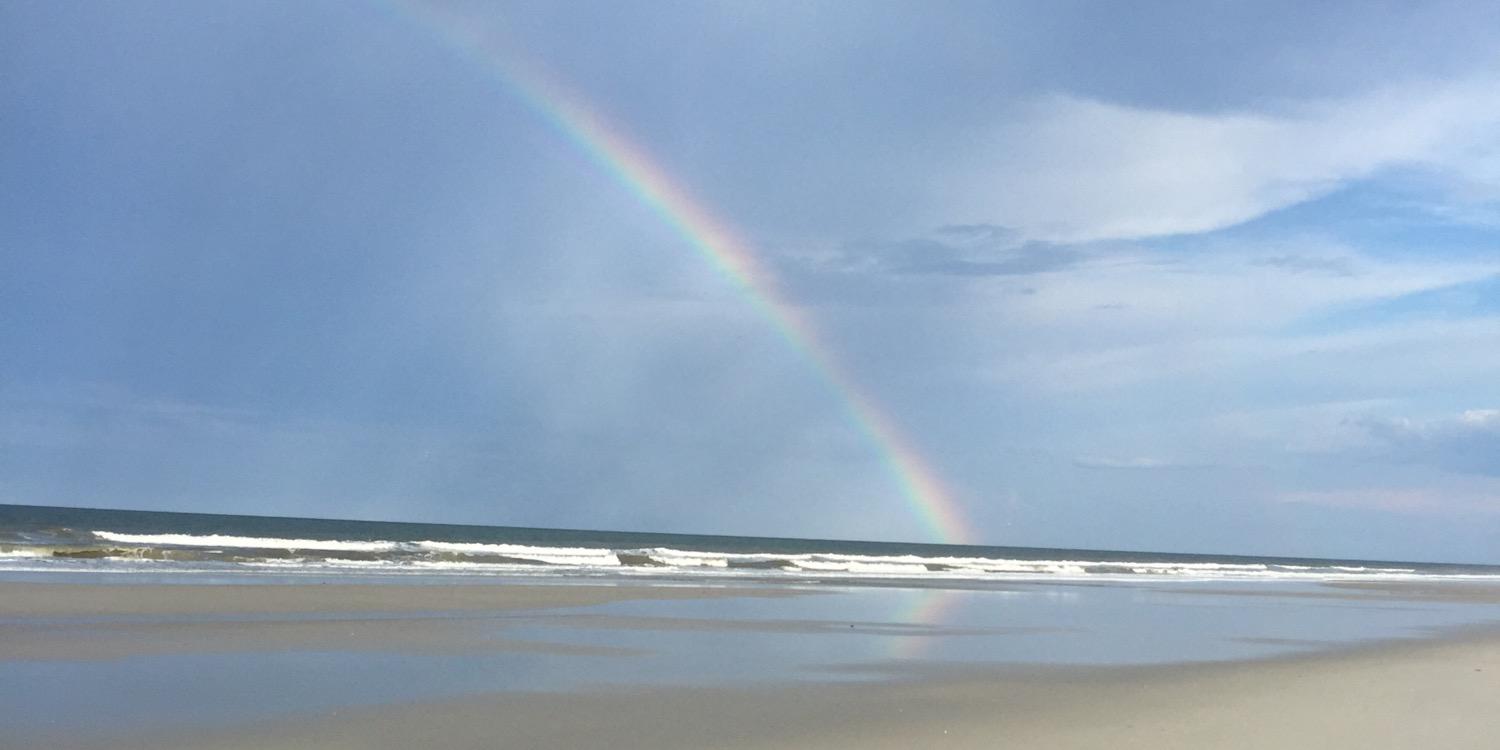 surfjag64's profile banner image