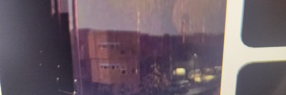terri anglestone banner